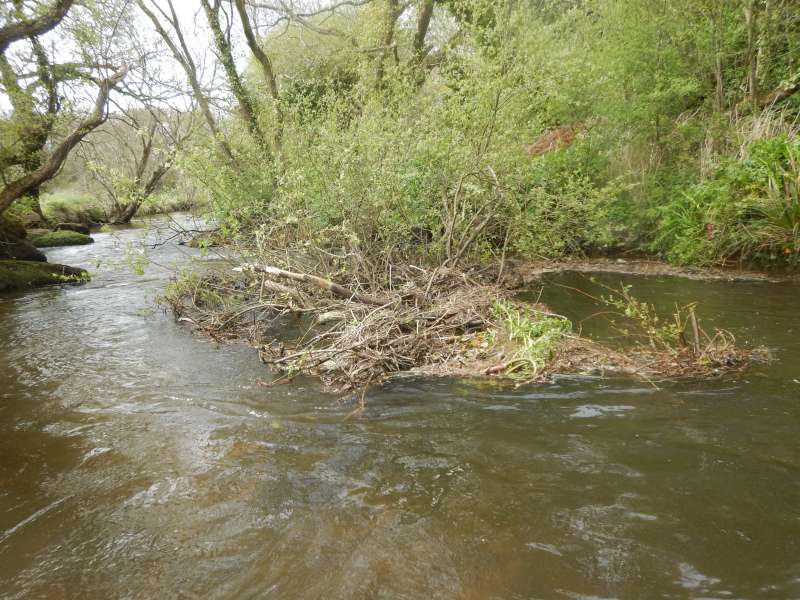 Des branches coupées et jetées dans la rivière forment un embacle